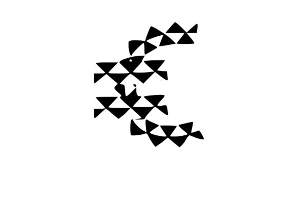 Playful Geometric Pattern Mono Euro Review